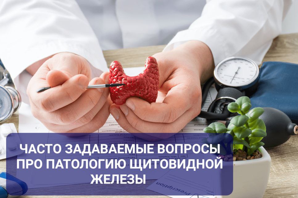 Эндокринолог Алёна Итинсон: все, что важно знать о заболеваниях щитовидной железы 